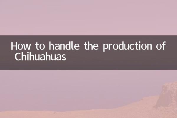 Comment gérer la production de Chihuahuas