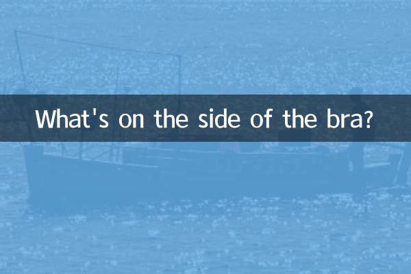 What's on the side of the bra?