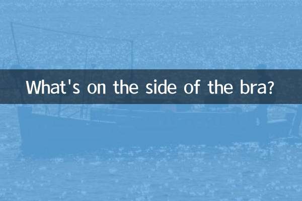 What's on the side of the bra?