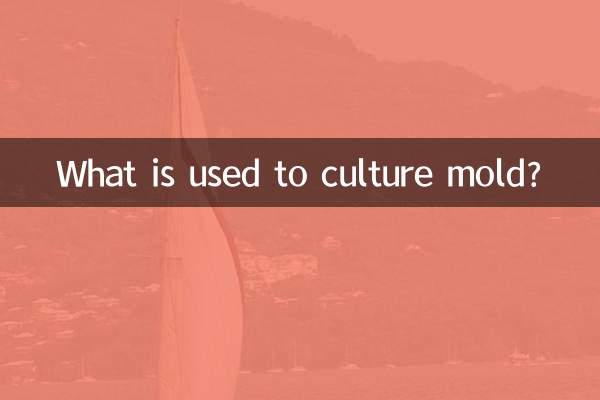 霉菌用什么培养