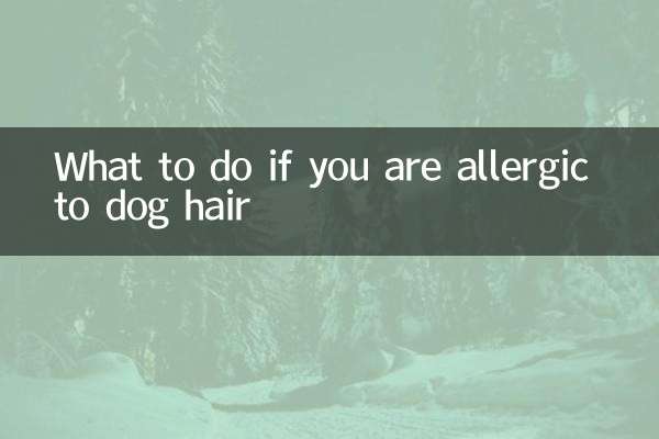 কুকুরের চুলে অ্যালার্জি হলে কী করবেন