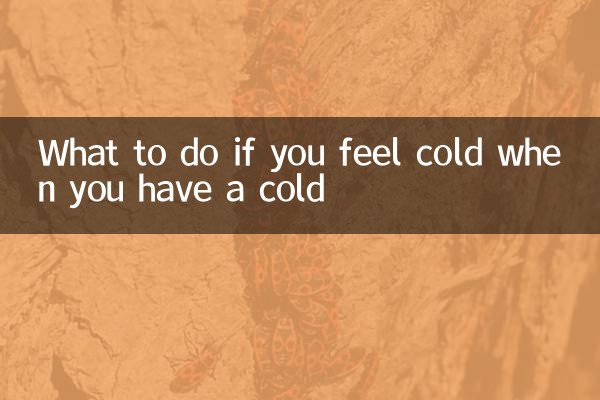 感冒感觉冷怎么办