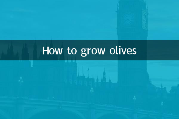 How to grow olives