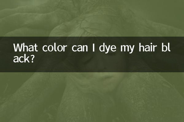 검은 머리를 어떤 색으로 염색할 수 있나요?