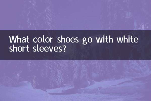 Quelle couleur de chaussures va avec des manches courtes blanches ?