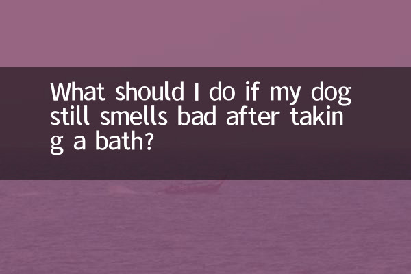 আমার কুকুর যদি স্নান করার পরেও খারাপ গন্ধ পায় তবে আমার কী করা উচিত?