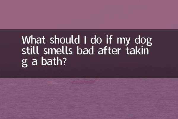 আমার কুকুর যদি স্নান করার পরেও খারাপ গন্ধ পায় তবে আমার কী করা উচিত?