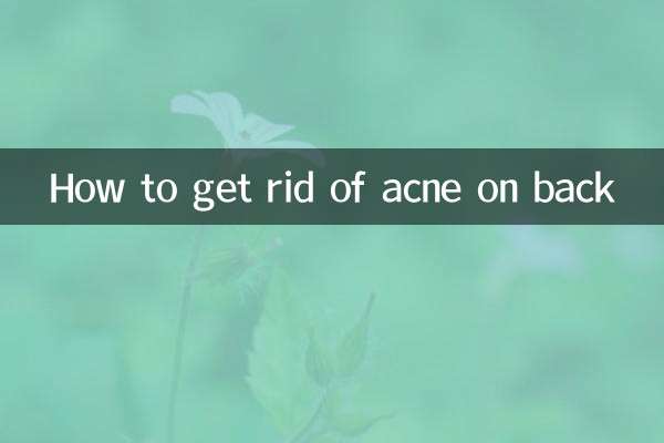 কিভাবে পিঠের ব্রণ থেকে মুক্তি পাবেন