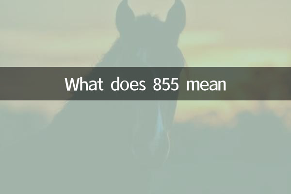 855 का क्या मतलब है