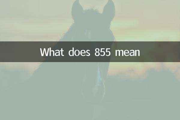 855 का क्या मतलब है