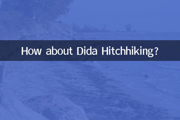 Che ne dici di didi autostop