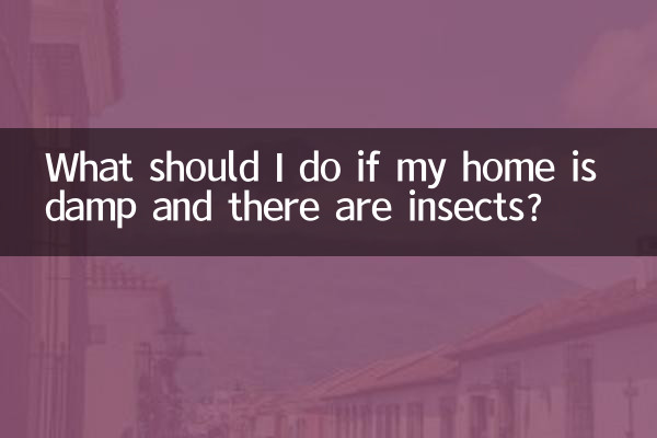 O que devo fazer se minha casa estiver úmida e houver insetos?