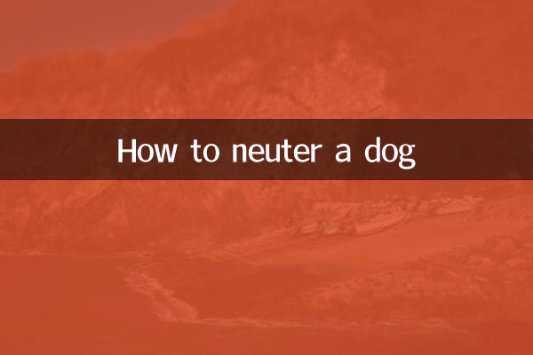 কিভাবে একটি কুকুর neuter
