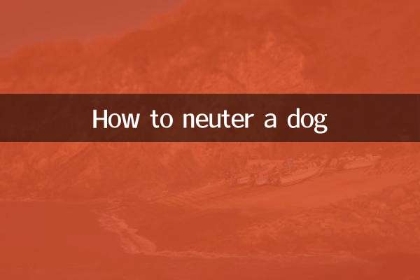 How to neuter a dog