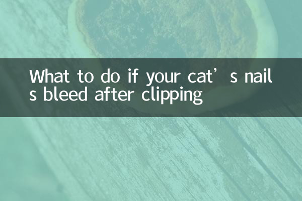 猫の爪切りで出血した場合の対処法