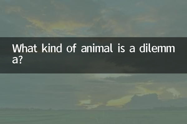 進退兩難是什麼動物