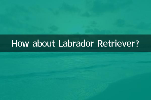 Et le Labrador Retriever ?