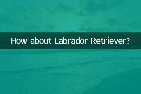 Et le Labrador Retriever ?