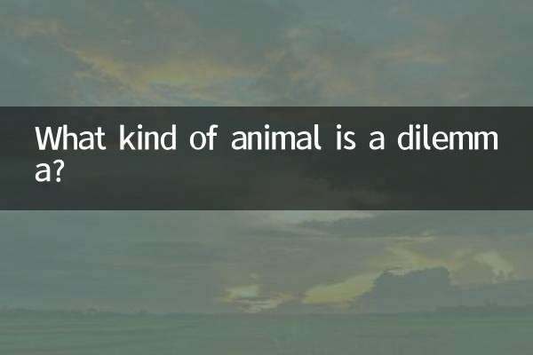 ¿Qué tipo de animal es un dilema?