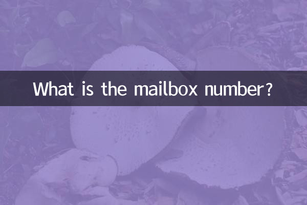 What is the mailbox number?