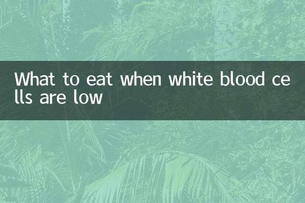 ماذا نأكل عندما تكون كريات الدم البيضاء منخفضة؟