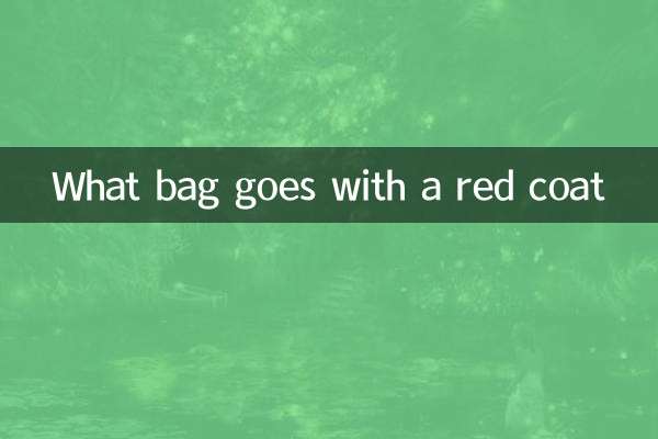 কি ব্যাগ একটি লাল কোট সঙ্গে যায়