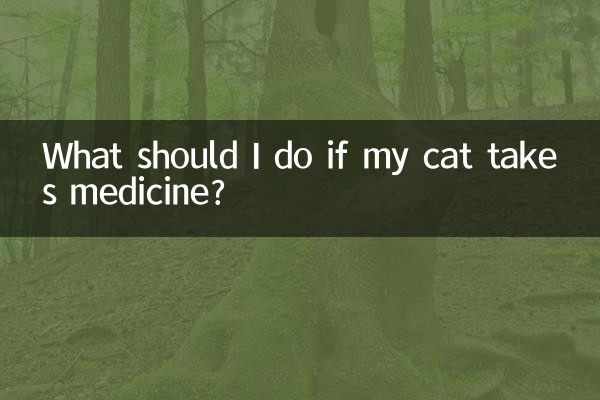 고양이가 약을 먹으면 어떻게 해야 하나요?