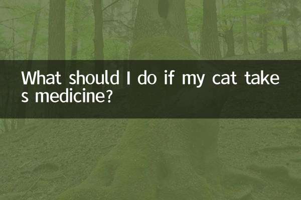고양이가 약을 먹으면 어떻게 해야 하나요?