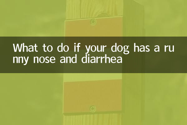 Cosa fare se il vostro cane ha il naso che cola e la diarrea