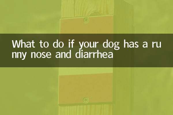 Cosa fare se il vostro cane ha il naso che cola e la diarrea