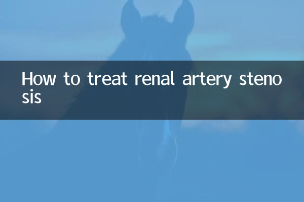 신장동맥협착증의 치료방법