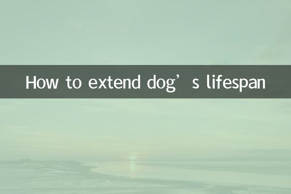 كيفية إطالة عمر الكلب