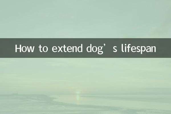 كيفية إطالة عمر الكلب