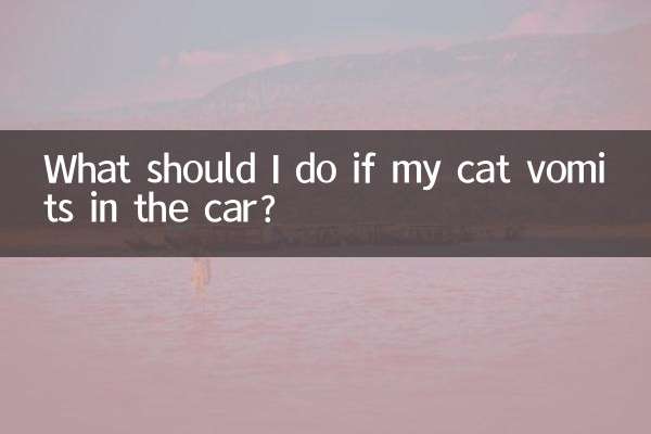 Что делать, если кошку рвет в машине?