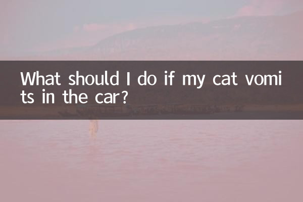 Que dois-je faire si mon chat vomit dans la voiture ?