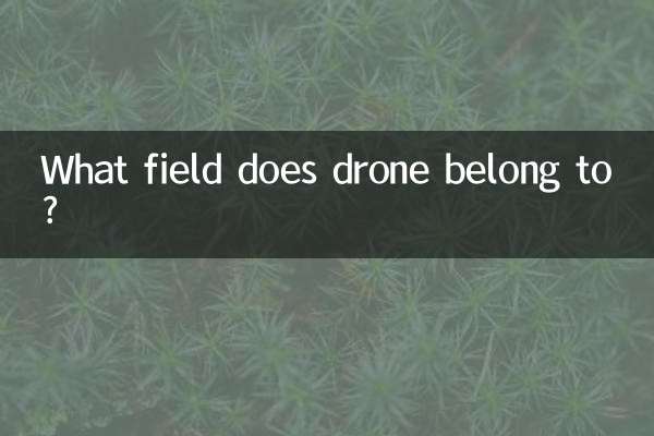 À quel domaine appartient le drone ?