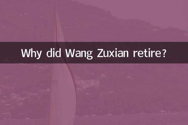 Wang Zuxian은 왜 은퇴했나요?