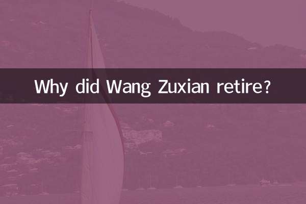 কেন ওয়াং জুজিয়ান অবসর নেন?
