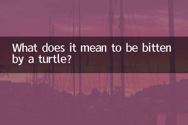 Cosa significa essere morsi da una tartaruga?
