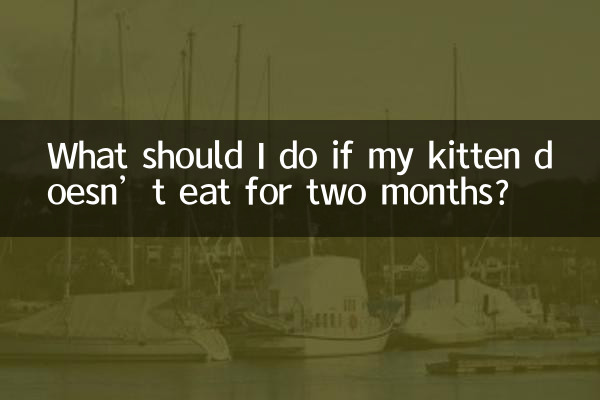 ماذا أفعل إذا لم تأكل قطتي لمدة شهرين؟