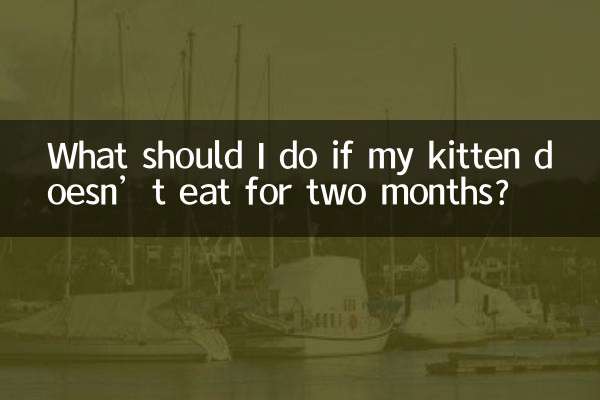 Cosa devo fare se il mio gattino non mangia per due mesi?