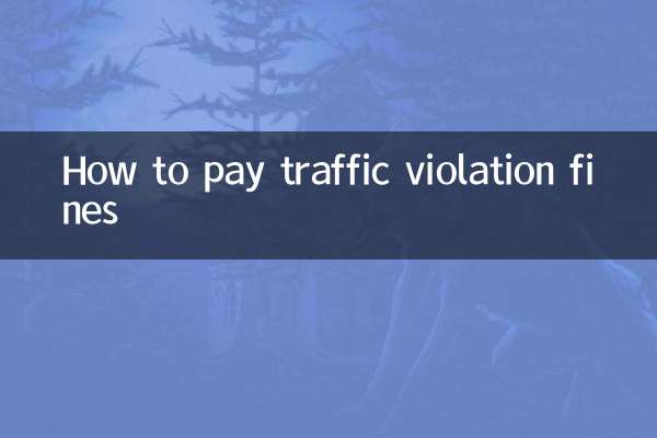 How to pay traffic violation fines