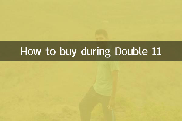 Double 11 기간 동안 구매하는 방법