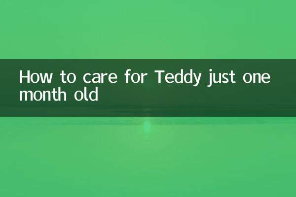 كيفية رعاية تيدي عمره شهر واحد فقط