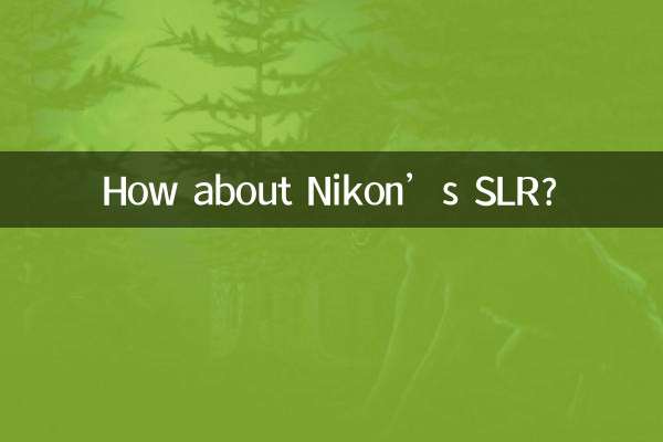 ニコンの一眼レフはどうでしょうか？