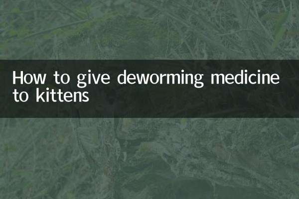 새끼 고양이에게 구충제 먹이는 방법