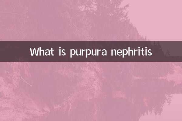 What is purpura nephritis