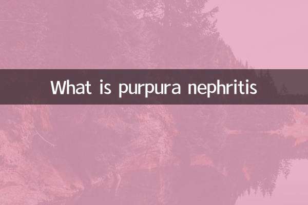 What is purpura nephritis