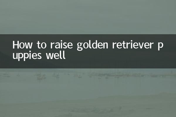 How to raise golden retriever puppies well