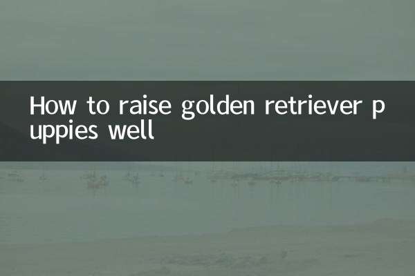How to raise golden retriever puppies well